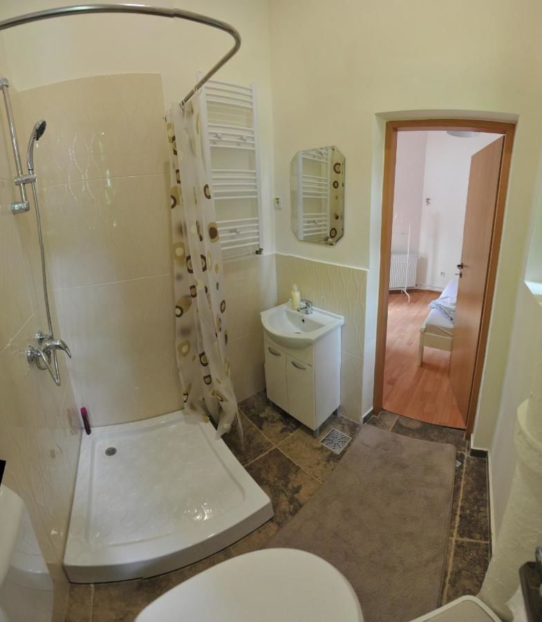 Хостелы Hostel Cornel Тимишоара-29