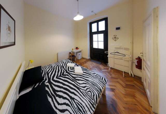 Хостелы Hostel Cornel Тимишоара-12