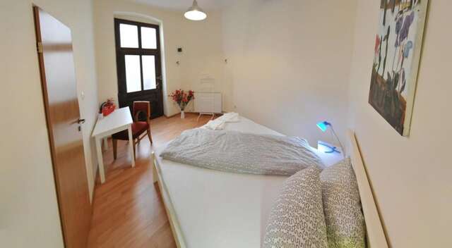 Хостелы Hostel Cornel Тимишоара-22