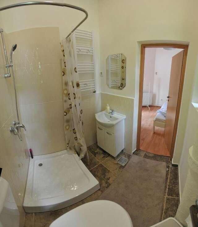 Хостелы Hostel Cornel Тимишоара-28